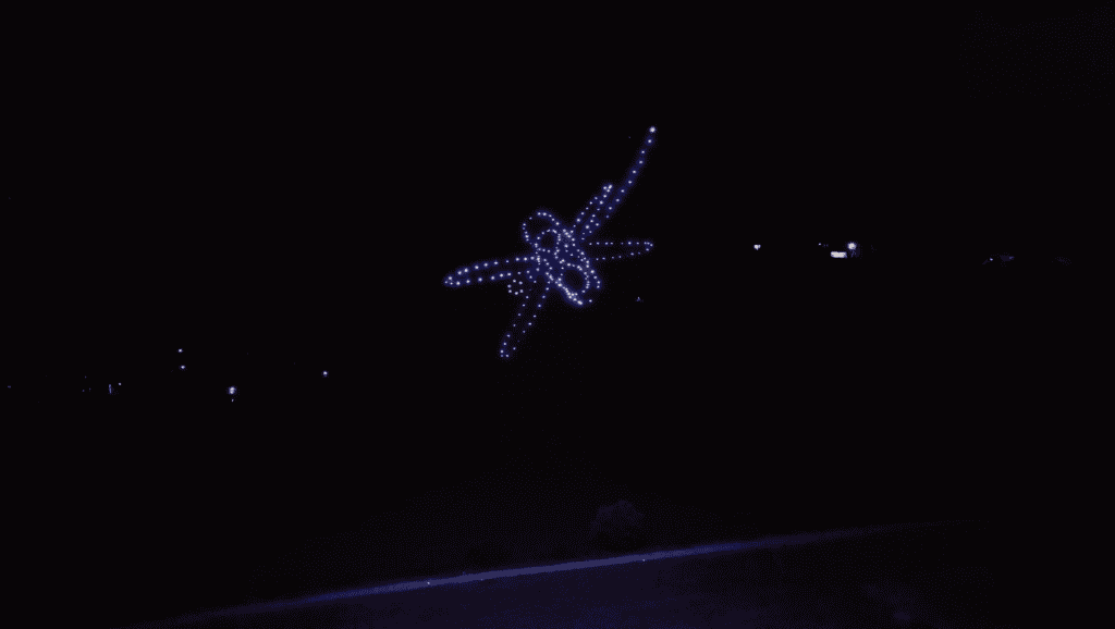 Drones luminosos Allumee