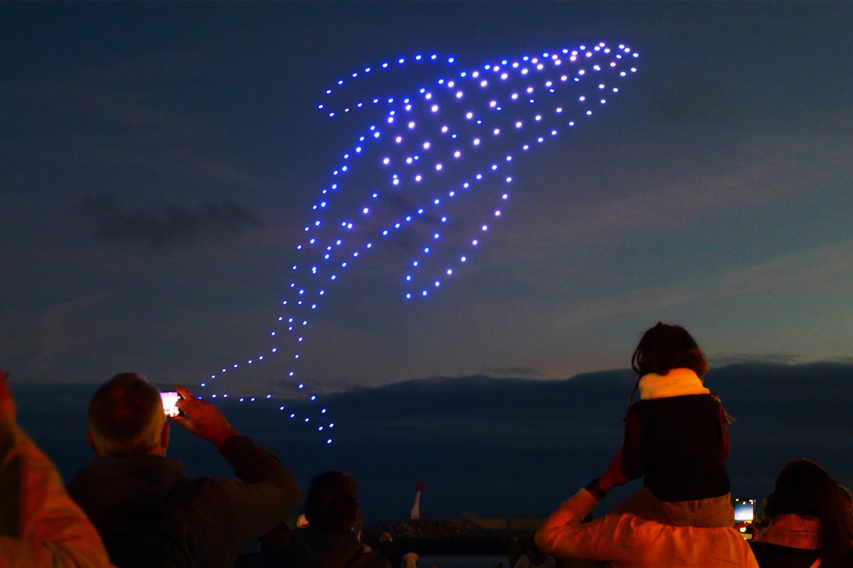 spettacolo di droni che formano una balena nel cielo