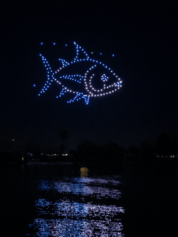 spectacle de drones thématique poisson à Martigues par Allumee