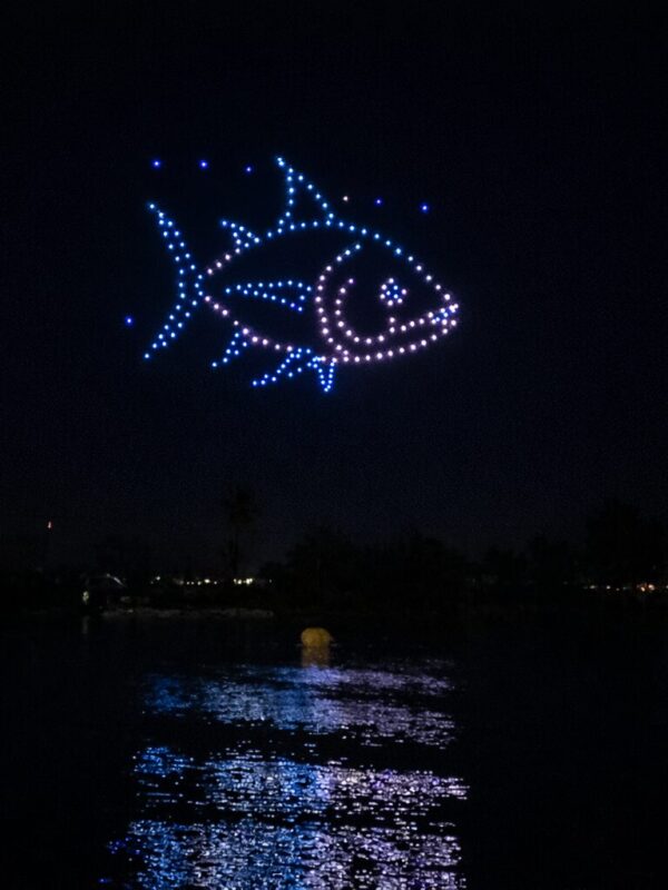 Fisch-Themen-Drohnenshow in Martigues von Allumee