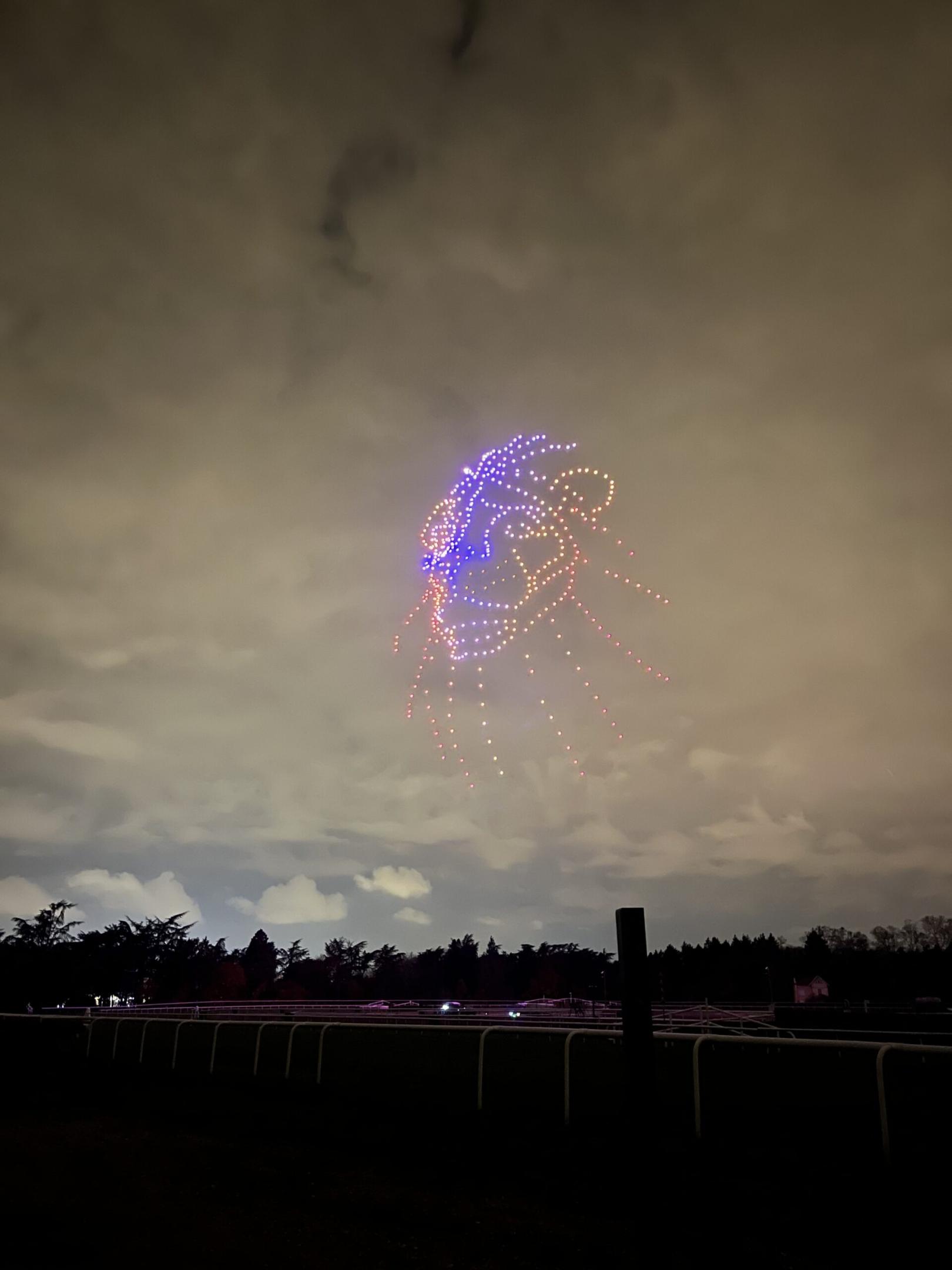 forme de lion dans le ciel lors d'un spectacle de drones à la fête des lumières 2023